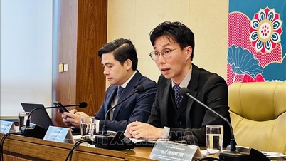 Promovarea cooperării locale, aprofundarea relațiilor Vietnam-Japonia