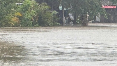 Премьер-министр распорядился сосредоточиться на ликвидации последствий наводнений на реке Ба (Дак Лак) и реке Кон (Зя Лай).