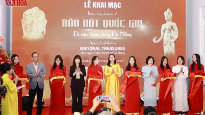 テーマ展「国宝 - ダナン中心部の遺産」の開幕