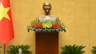 São necessárias medidas eficazes para limitar a especulação e garantir um mercado de ouro saudável.