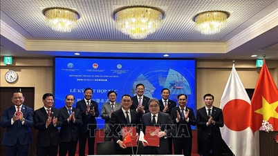 Provincie Tay Ninh bevordert investeringssamenwerking met Japanse ondernemingen