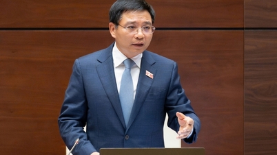 Verminder inkomstenverlies, voorkom fraude en help bedrijven om aan hun belastingverplichtingen te voldoen.