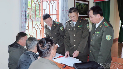 Quy Mong komününde hammadde orman yetiştirme alanlarına yönelik kodların verilmesi ve yönetilmesine ilişkin pilot uygulama
