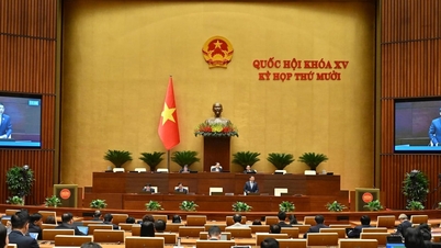 個人所得税法案（改正）：中立性、公平性、実用性を確保する。