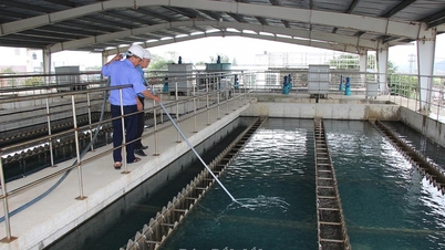 مشرقی ڈاک لک کو صاف پانی کے بڑے پیمانے پر نقصان کے خطرے کا سامنا ہے۔