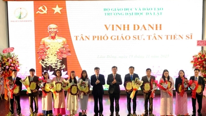 Університет Далат має 5 нових доцентів та 6 нових докторів