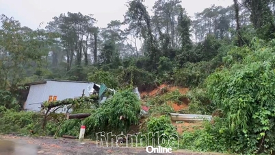 Khanh Son kommun: Många skador på grund av översvämningar
