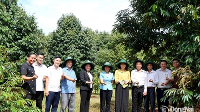 Continuer à soutenir et à guider la gestion et la maintenance des indicatifs régionaux en expansion dans la commune de Binh Tan.