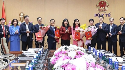 Menteri Kesihatan menyerahkan keputusan mengenai pemindahan, pelantikan dan pelantikan semula pemimpin banyak unit