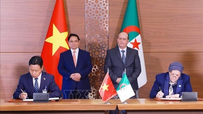 Việt Nam - Algeria nâng cấp quan hệ lên Đối tác Chiến lược