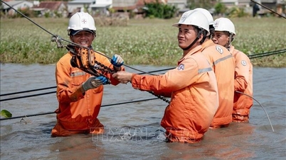 Actively operate the power system, speed up disaster recovery in flooded areas