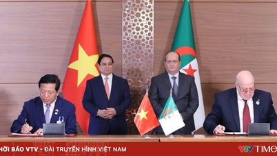Việt Nam - Algeria ký kết nhiều văn kiện hợp tác quan trọng