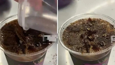 Taraba de cafea vinde cafea stropită cu gândaci de bucătărie pentru 166.000 VND, vânzând peste 10 cești pe zi.
