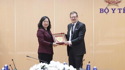 Bộ trưởng Đào Hồng Lan tiếp và làm việc với Đại sứ Cộng hoà Phần Lan tại Việt Nam