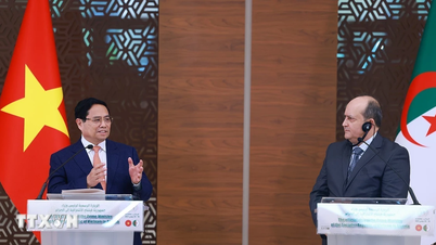 Projecten uitvoeren en het strategische partnerschap Vietnam-Algerije concretiseren