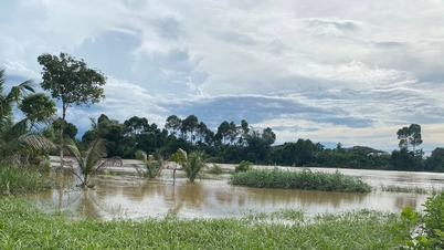 זרימת שפכים מוגברת במאגר הכוח ההידרואלקטרי דונג נאי 5, אזהרה לאזורים במורד הזרם
