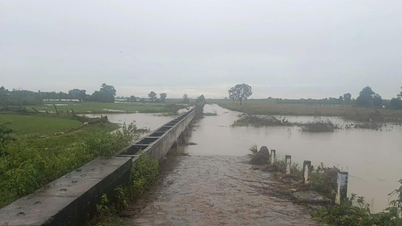 بلدية إيا روك: غمرت المياه بعض المناطق بسبب الأمطار الغزيرة.