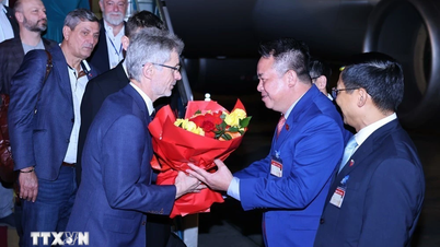 Tjeckiens senatspresident besöker Vietnam på officiellt besök