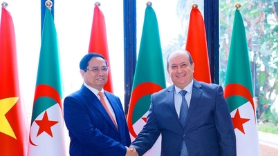 El primer ministro Pham Minh Chinh mantiene conversaciones con el primer ministro argelino.