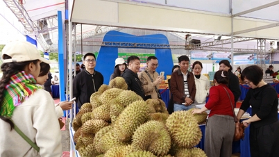 ពិព័រណ៍វៀតណាម-ចិនឆ្នាំ 2025 'ការកែលម្អគុណភាព ពង្រីកទីផ្សារ'