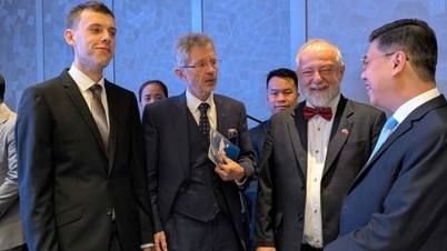 עסקים צ'כיים המעוניינים להשקיע בייצור רכב ובחקלאות בווייטנאם