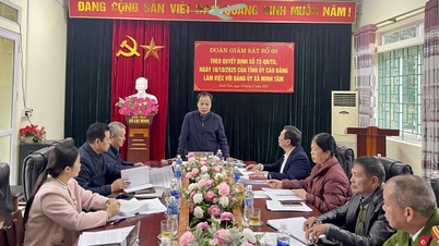 Die Beobachterdelegation des Provinzparteikomitees arbeitete in den Gemeinden Nguyen Binh und Minh Tam an der Führung und Umsetzung der Beschlüsse der Parteitage an der Basis.