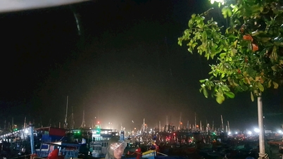 Vùng hạ lưu sông Lòng Sông chủ động ứng phó do mưa lớn