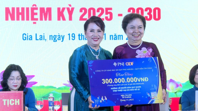 Ms. Dong Thi Anh was elected as President of the Gia Lai Provincial Women Entrepreneurs Association.