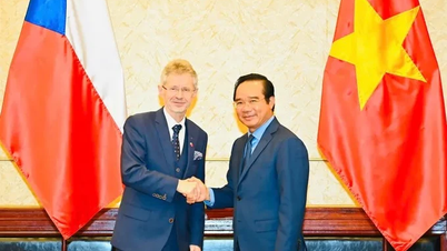 Tăng cường hợp tác giữa Thành phố Hồ Chí Minh và các địa phương của Cộng hòa Séc trong thời gian tới