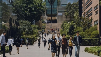 В'єтнамські студенти в Австралії: будьте обережні з пастками, що пропонують купити банківські рахунки за кілька сотень доларів