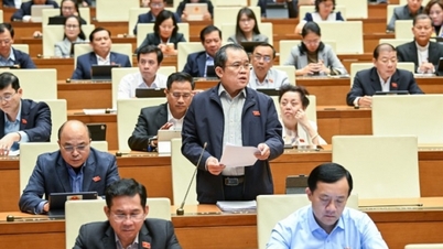 Tăng cường kiểm soát rủi ro, đẩy mạnh chuyển đổi số trong quản lý thuế