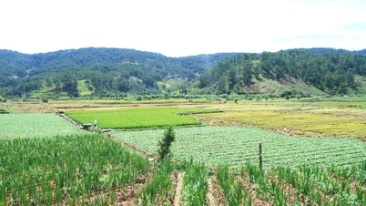 토지개발기금의 자본자원을 보존하고 개발한다
