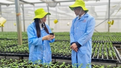 Ο Όμιλος Nafoods αποκομίζει γλυκούς καρπούς χάρη στην επιστήμη και την τεχνολογία που διαθέτει