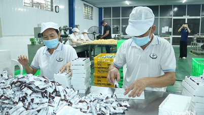 Боротьба з контрафактними товарами, захист законного бізнесу