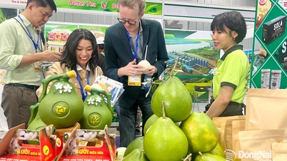 Σύνδεση και επέκταση των γεωργικών εξαγωγών με την αγορά της ΕΕ