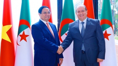 Вьетнам и Алжир повышают уровень стратегического партнерства