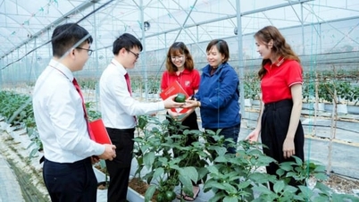 Зеленый кредит расширяет региональную взаимосвязанность и создает устойчивые цепочки создания стоимости