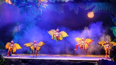 "حلم الضفدع الأخضر" يترك انطباعًا في مهرجان المسرح التجريبي الدولي لعام 2025