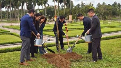 Colombia dona 25 árboles de tamarindo a la ciudad de Hanoi