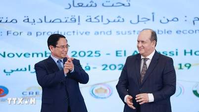 Le Premier ministre Pham Minh Chinh et le Premier ministre algérien participent au Forum économique