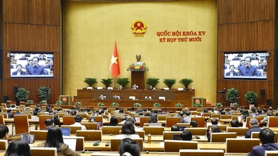 11월 20일 국회는 교육법 일부 조항을 개정·보완하는 법안 초안을 논의했습니다.