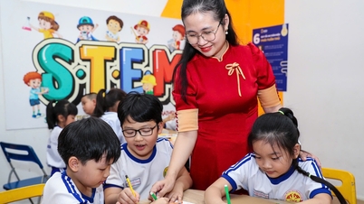 ویتنامی اساتذہ کا دن: محبت اور الہام