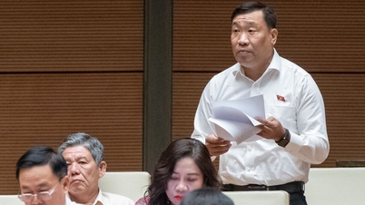 National Assembly delegates are interested in innovations in the education sector.