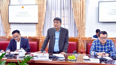 Especificar o conteúdo essencial e regular das relações exteriores e da integração internacional.