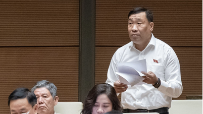 Los delegados de la Asamblea Nacional están interesados ​​en las innovaciones en el sector educativo.