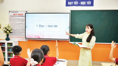 Formar un equipo de profesores competentes es la base y el pilar de la educación.