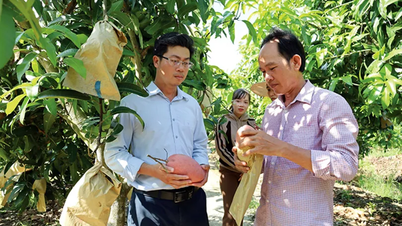 Tarımsal ekonomik düşünce