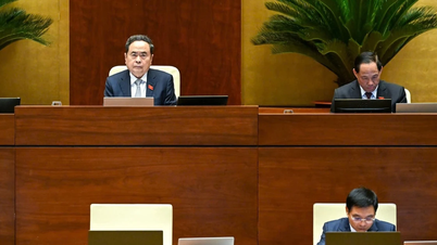 Zapewnienie praw i obowiązków stron w zakresie użytkowania gruntów