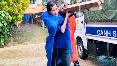 土砂崩れ地に文字を蒔く