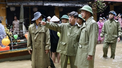 다낭의 2단계 지방정부는 역사적인 홍수 속에서 "불의 시험대에 올랐다." 마지막 기사: 업무와 권한이 분산되고 적절하게 위임될 때.